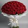 Букет 101 Красная роза Блэк Мэджик в Доргелях