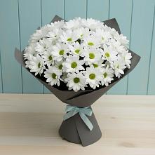 Букет цветов из:  Хризантемы в Доргелях