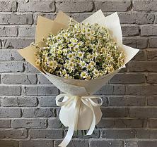 Букет цветов из:  Ромашки #REPLACE_PRED# Доргелях