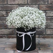 Цветочная композиция из Гипсофила в шляпной коробке #REPLACE_PRED# Доргелях