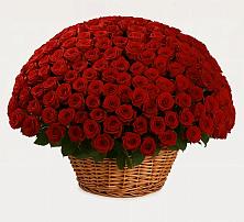 Премиум букет из: Розы в Доргелях