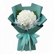 Букет цветов из:  Гортензия #REPLACE_PRED# Доргелях
